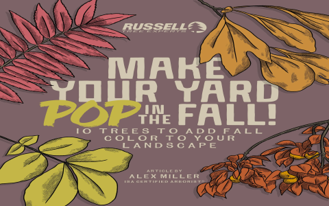 7 Expert Secrets to Maximizing Production Football Output: Strategies, Tools, and Common Pitfalls