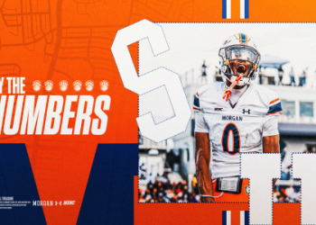 7 Expert Insights Into Delaware State Football vs Delaware Football Match Player Stats That Will Transform How You Watch the Game