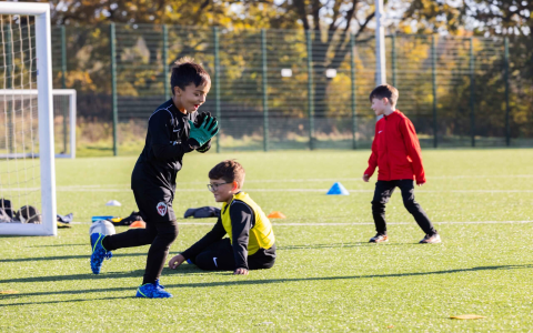 7 Expert Secrets to Dominating Air Force Falcons Football: The Ultimate Guide for Fans and Future Athletes