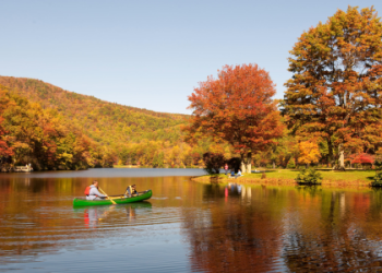 7 Expert Secrets To Mastering Michigan Football: The Ultimate Fan’s Guide For 2024