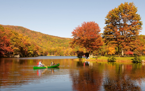 7 Expert Secrets To Mastering Michigan Football: The Ultimate Fan’s Guide For 2024