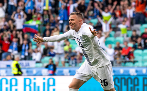 10 Expert Insights About Slovenia National Football Team Players: The Ultimate Guide for 2024