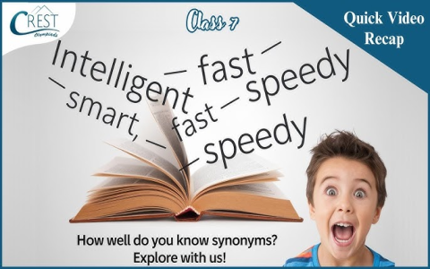 7 Ultimate Synonyms for Football: Expert Guide to Alternative Terms and Their True Meanings