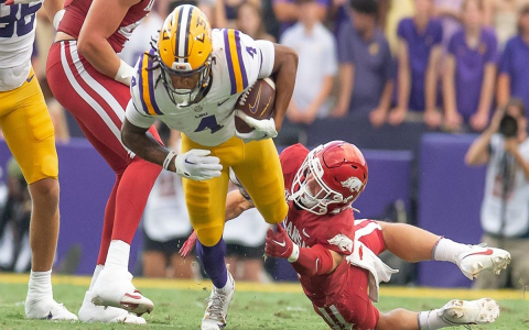 7 Expert Tips to Analyze LSU Tigers Football vs Arkansas Razorbacks Football Match Player Stats Like a Pro