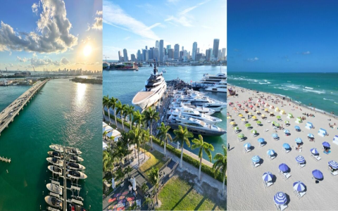 7 Expert Secrets to Miami Florida Football: The Ultimate Guide for Fans and Players