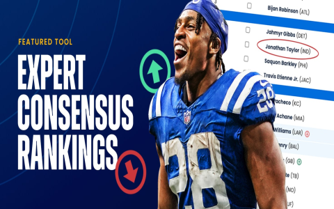 10 Expert Strategies to Decode NFL Football Standings for the Ultimate Fan Advantage