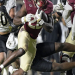 7 Expert-Recommended FSU FSU Football Strategies Every Fan Needs to Know Today