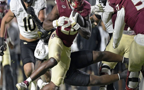 7 Expert-Recommended FSU FSU Football Strategies Every Fan Needs to Know Today