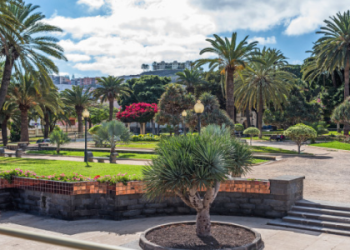 7 Amazing Facts About Las Palmas Football Every Real Fan Must Know