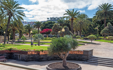 7 Amazing Facts About Las Palmas Football Every Real Fan Must Know