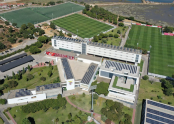 7 Expert Insights into Benfica Football Club Players: The Ultimate 2024 Guide That Fans Can't Miss