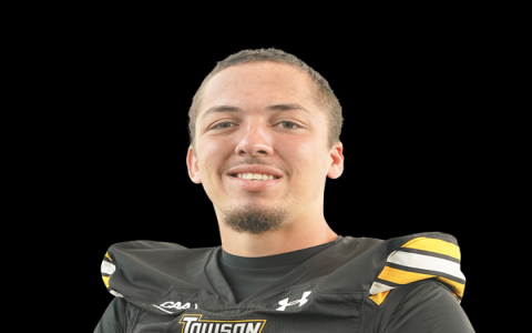 7 Surprising Insights: Towson Tigers Football vs Norfolk State Football Stats and the Ultimate Game Breakdown