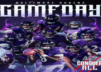 7 Expert Insights That Will Transform Your Rice Football Experience