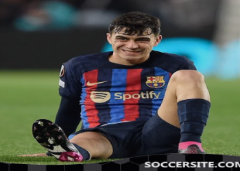 7 Expert Tips to Master Lithuania National Football Team Standings and Outrank Rivals Instantly