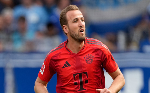 7 Expert Secrets for Hoffenheim Football Success: The Ultimate Guide for Fans & Newcomers