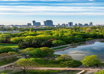 7 Expert Insights and Must-Know ndsu football vs the citadel football stats That Will Change How You See the Game