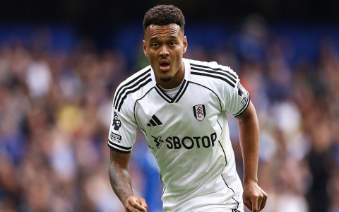 9 Expert Insights to Instantly Track Brazil National Football Team Standings (Ultimate 2024 Guide)