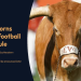 10 Expert Tips to Master the Texas Longhorns Football Schedule: Your Ultimate 2024 Guide